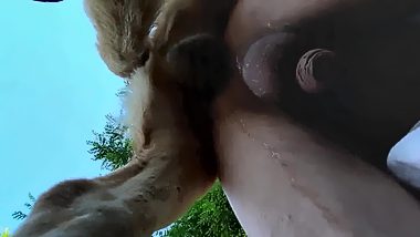 Gay dog porn