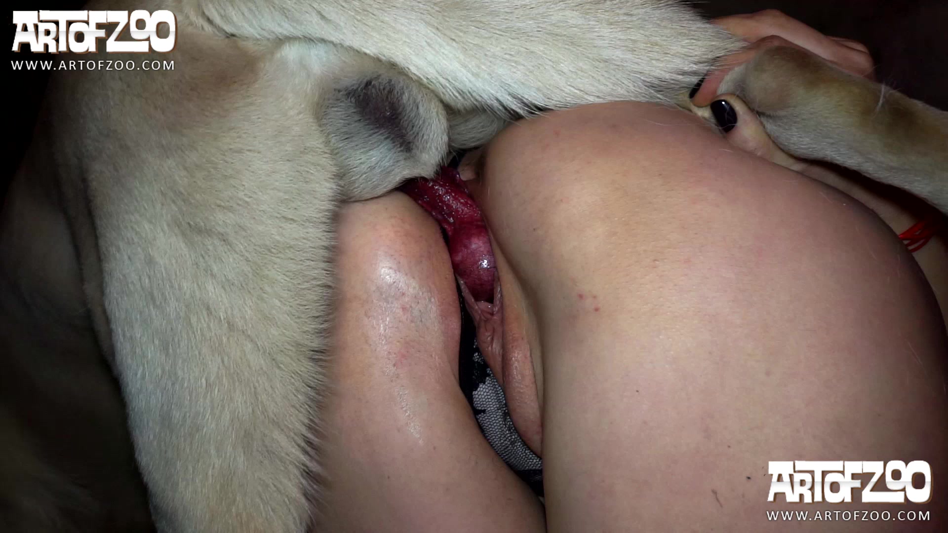Dog eats pissy