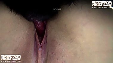 Dog sex with teen girl