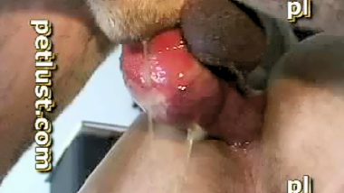 Guy gets massive anal creampie after sex with dog in the ass