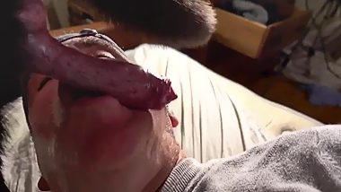 Man sucking dog cock