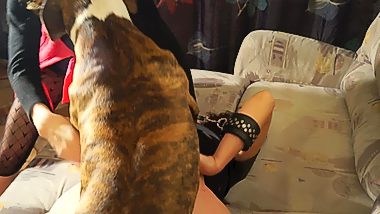 BDSM animal porn. Slave woman fucked by dog
