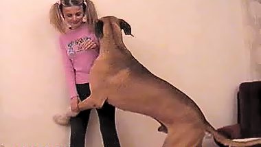 Dog fucking a girlfriend - videos banned on XVideos