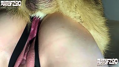 Dog teen first time porn