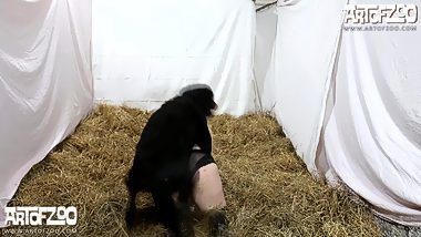 Woman has sex with dog