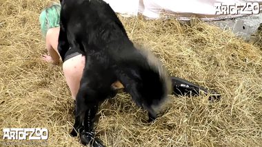 Woman has sex with dog