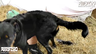 Woman has sex with dog