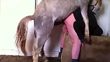 Horse man fuck