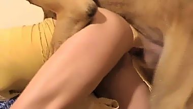 Dog sperm in pussy after sex with animal
