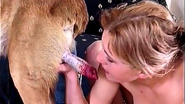 Animals sex porn with married couple