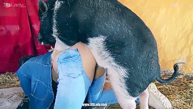 Pig hd xxx