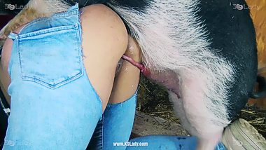 Pig hd xxx
