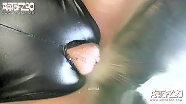 Animal woman sex hd
