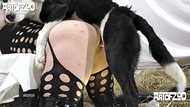 Animal woman sex hd