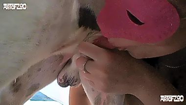 Animal and women sex hd