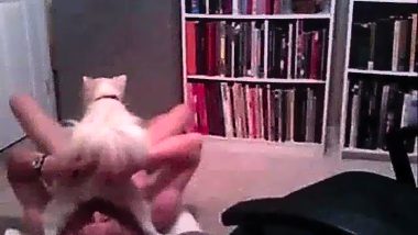 Dog fucks a man