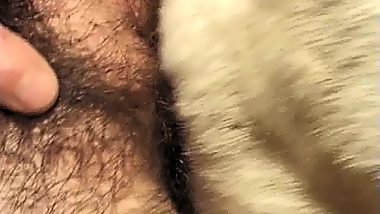 Animal sex gets orgrasm slim woman with hairy pussy