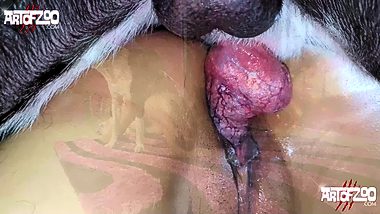 Animal porn japan hd