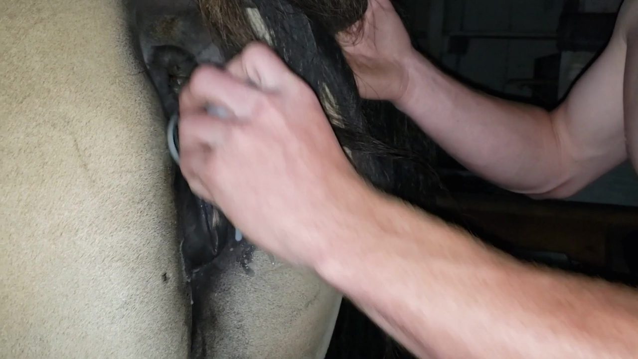 Man cum in horse pussy