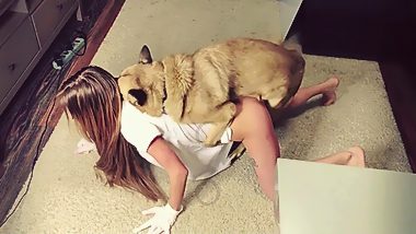 Girl beg for dog fuck and gets multiple orgasms