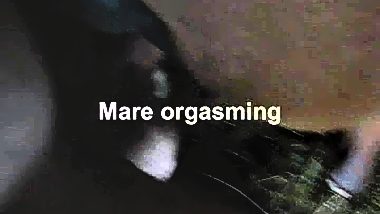 Man fuck animal pussy very hot