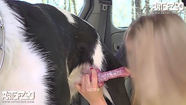 Girl vs dog sex