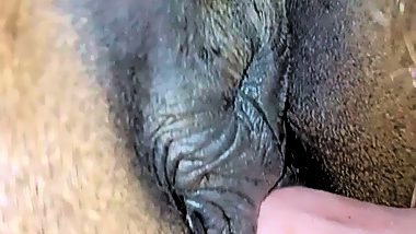 Man with animal porn video. Compilation man fuck mare pussy