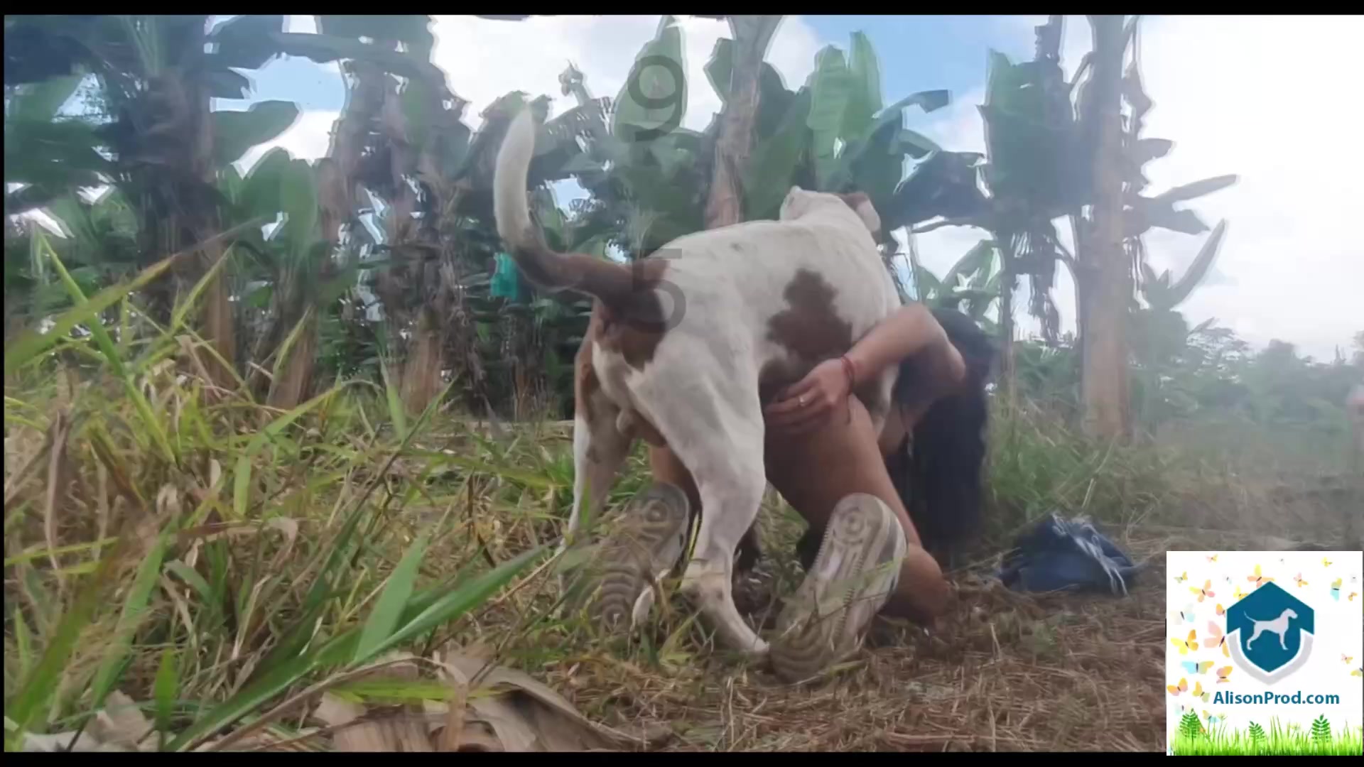 animal fuck girl 
