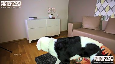 Dog and girl sex porn