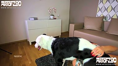 Dog and girl sex porn