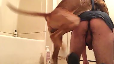 Dogs fuck men compilation