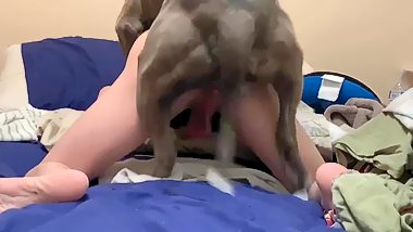 Dogs fuck men compilation