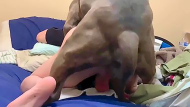 Dogs fuck men compilation