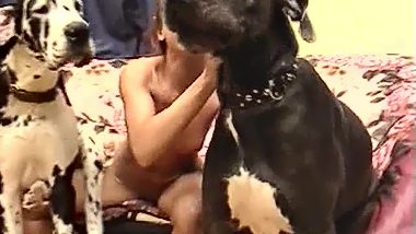 Black girl is fucked by a black Labrador 