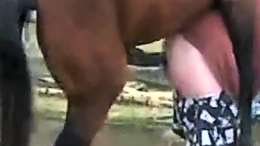 Horse fucking man porn