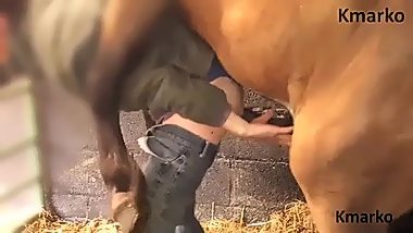 Man sex horse video