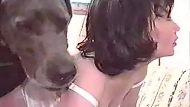 Kazakh animal porn with a watchdog dog
