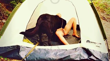 Mommy sex with her dog in the camp - hd animal porn