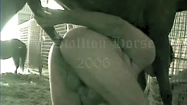 Man fucks with male horse
