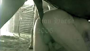 Man fucks with male horse