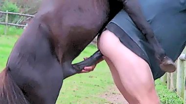 Horse fuck a man