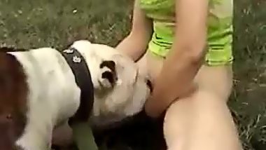 Public sex with dog