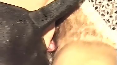 Hairy pussy moves on dog dick